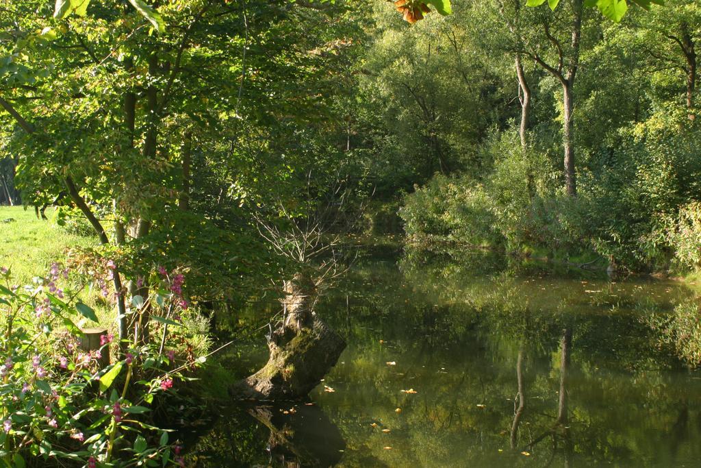 Turisticka Ubytovna Cakle Ústí nad Orlicí Екстериор снимка